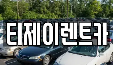 서울특별시 종로구 평동 렌트카 전문 티제이렌트카