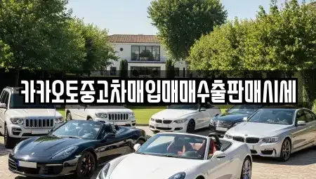 서울특별시 종로구 평동 중고차매입 전문 카카오토중고차매입매매수출판매시세