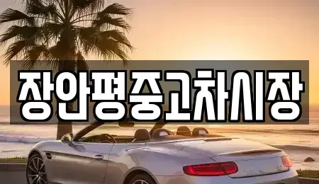 서울특별시 종로구 필운동 중고차 전문 장안평중고차시장