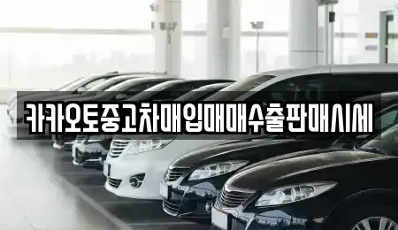 서울특별시 종로구 필운동 중고차 전문 카카오토중고차매입매매수출판매시세