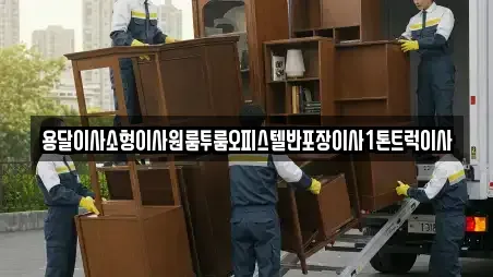 용달이사소형이사원룸투룸오피스텔반포장이사1톤트럭이사