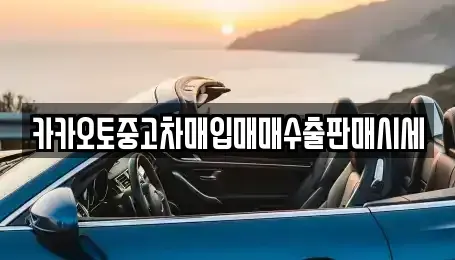 인천 중구 북성동2가 중고차 전문 카카오토중고차매입매매수출판매시세