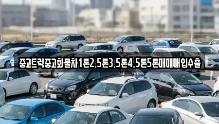 전남 신안군 신의면 단기렌트카,중고차매입,중고차매매,중고차,렌트카,장기렌트카