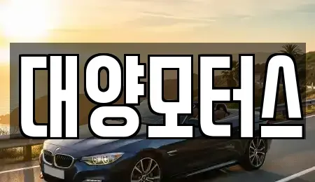 전라남도 장성군 황룡면 중고차 전문 대양모터스