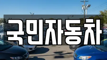 전북특별자치도 김제시 장화동 중고차 전문 국민자동차