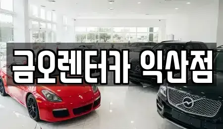 전북특별자치도 익산시 신동 렌트카 전문 금오렌터카 익산점