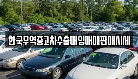 전북특별자치도 정읍시 수성동 중고차 전문 한국무역중고차수출매입매매판매시세