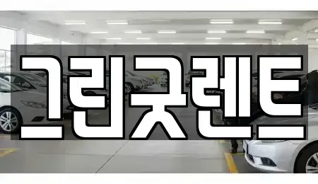 충북 음성군 감곡면 렌트카 전문 그린굿렌트