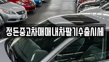 충북 음성군 감곡면 중고차 전문 정든중고차매매내차팔기수출시세