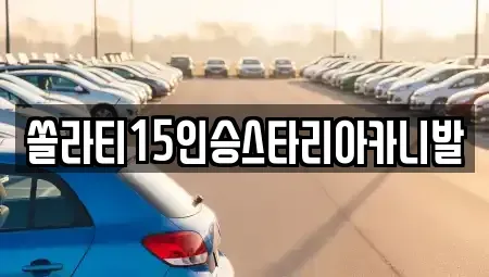 충북 제천시 자작동 렌트카 전문 쏠라티15인승스타리아카니발