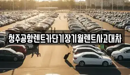 충북 청주시 서원구 수곡동 렌트카 전문 청주공항렌트카단기장기월렌트사고대차