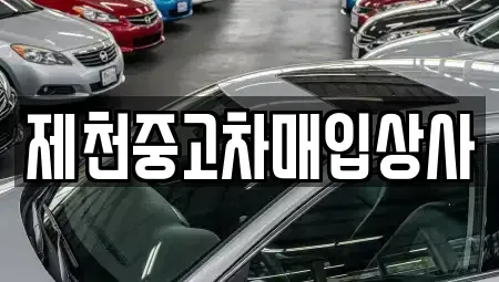 충청북도 제천시 영천동 중고차 전문 제천중고차매입상사