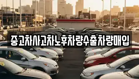 충청북도 제천시 영천동 중고차 전문 중고차사고차노후차량수출차량매입