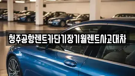 충청북도 청주시 청원구 주성동 단기렌트카 전문 청주공항렌트카단기장기월렌트사고대차