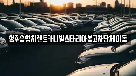 충청북도 청주시 청원구 주성동 렌트카 전문 청주승합차렌트카니발스타리아봉고차단체이동