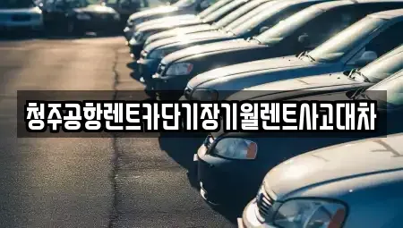 충청북도 청주시 흥덕구 신봉동 렌트카 전문 청주공항렌트카단기장기월렌트사고대차