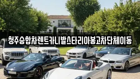 충청북도 청주시 흥덕구 신봉동 렌트카 전문 청주승합차렌트카니발스타리아봉고차단체이동