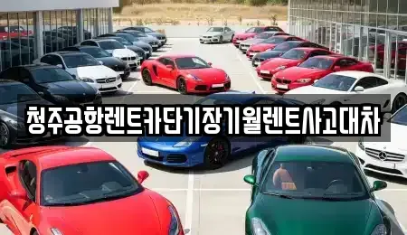 충청북도 청주시 흥덕구 지동동 렌트카 전문 청주공항렌트카단기장기월렌트사고대차